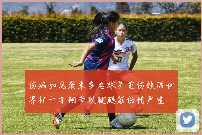 伤病如虎袭来多名球员重伤缺席世界杯十字韧带跟腱腿筋伤情严重
