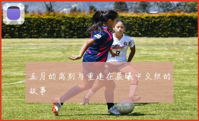 五月的离别与重逢在晨曦中交织的故事